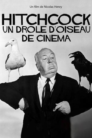 Hitchcock - Un drôle d'oiseau de cinéma
