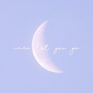 Never Let You Go (Single)