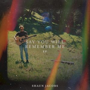 Say You Will Remember Me (remix)