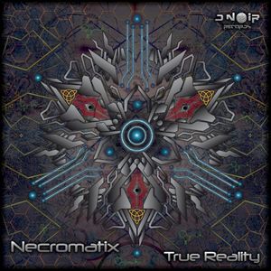 True Reality (EP)