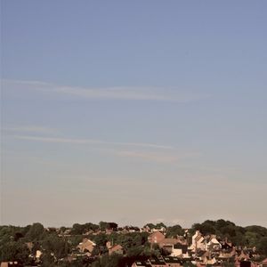 Dissatisfactions (Single)