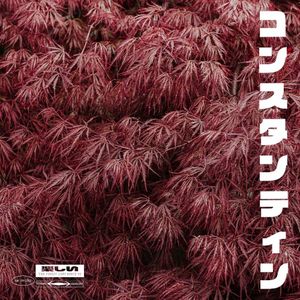 Acer (Single)