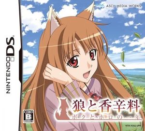 Spice and Wolf: My Year With Holo