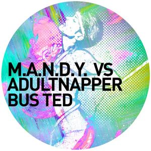 Bus Ted (Remixes) (Single)