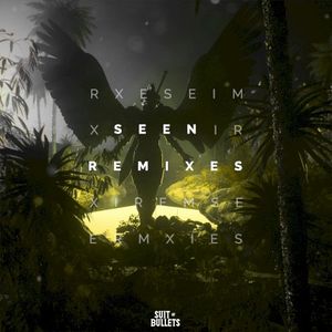 Seen (Remixes)