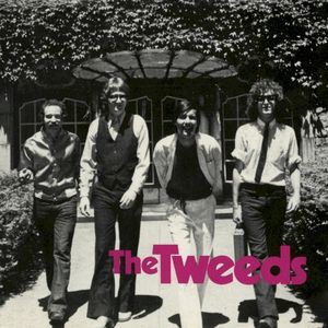 I Need That Record: The Tweeds Anthology