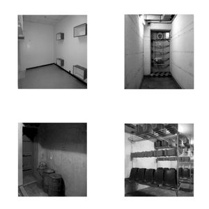 Extinction Process II