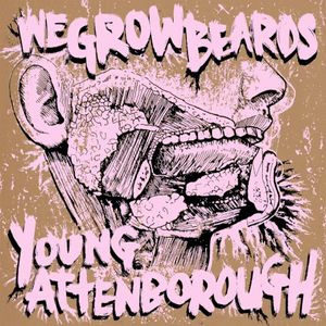 Wegrowbeards / Young Attenborough Split (EP)