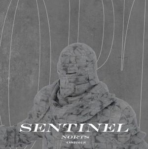 Sentinel (Single)