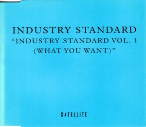 Industry Standard Vol. 1 (What You Want) (Single)