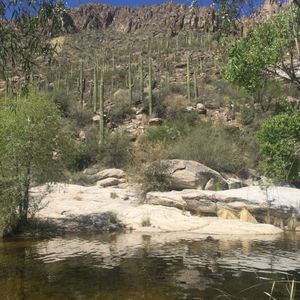 ArizonA (EP)