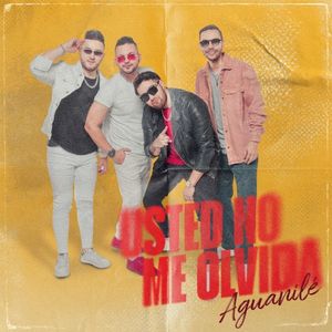 Usted no me olvida (Single)