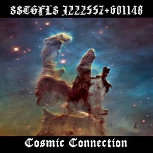 Cosmic Connection