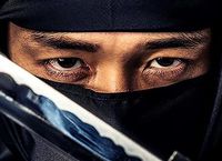 Cover les_meilleurs_films_avec_des_ninjas
