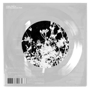 Continuum B/W Fate (EP)