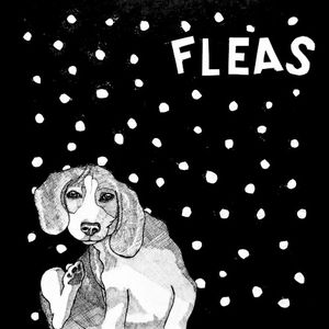 Fleas (Single)