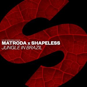 Jungle In Brazil (Extended Mix) (Single)