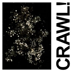 Crawl! (DGG Edit) (Single)