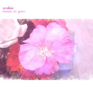Azaleia (Single)