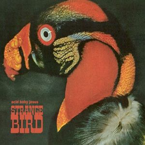 Strange Bird (Single)