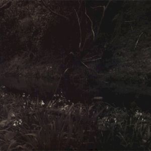 Useless Children (EP)