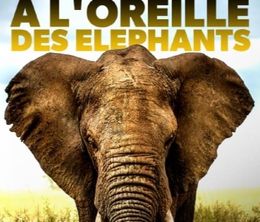 image-https://media.senscritique.com/media/000020841594/0/la_femme_qui_murmurait_a_l_oreille_des_elephants.jpg