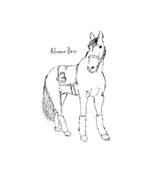 Whirlaway the Horse (Single)