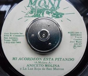 Mi acordeón está pitando / Rosy (Single)