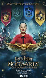 Affiche Harry Potter: Hogwarts Tournament of Houses
