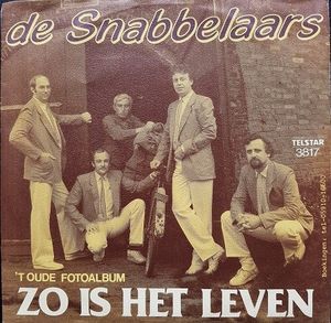 Zo is het leven (Single)