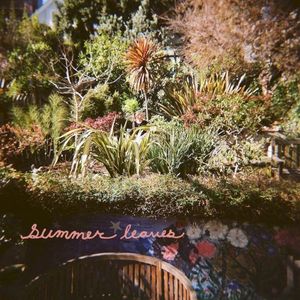 Summer Leaves