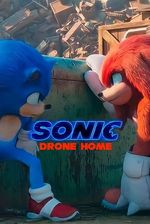 Affiche Sonic Drone Maison