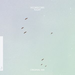 Flight (Single)