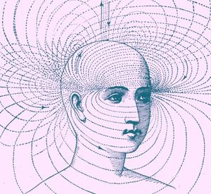 Default Mode Network