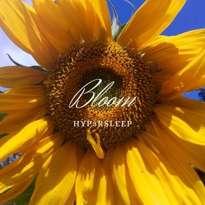 Bloom (Single)