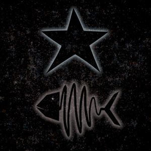 Star Fish (Single)