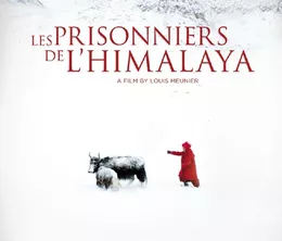 image-https://media.senscritique.com/media/000020857824/0/prisonniers_de_l_himalaya.webp