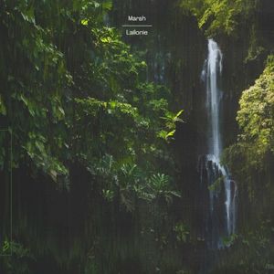 Lailonie (Single)