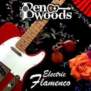 Electric Flamenco