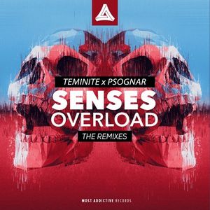 Senses Overload (The Remixes)