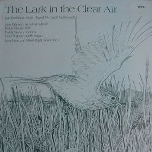 The Lark in the Clear Air - Irish Traditional Music played on Small Instruments