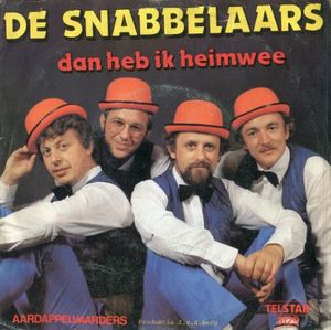 Dan heb ik heimwee (Single)