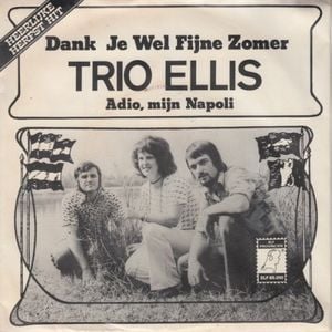 Dank je wel fijne zomer / Adio, mijn Napoli (Single)