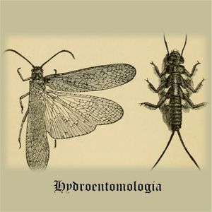 An Introduction to the Orders of the Freshwater Insects (EP)