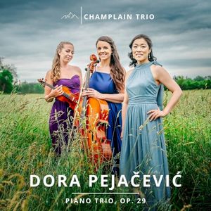 Piano Trio, op. 29