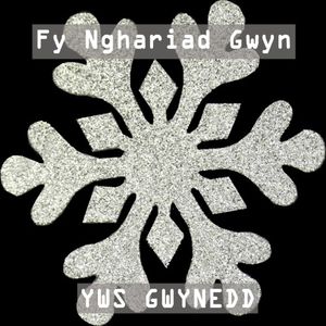 Fy Nghariad Gwyn (Single)