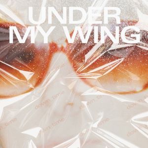 Under My Wing (Single)