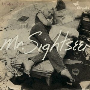 Mr. Sightseer (Single)