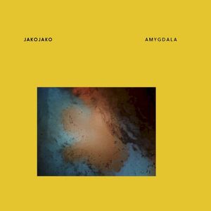 Amygdala (Single)