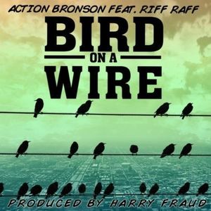 Bird on a Wire (instrumental)